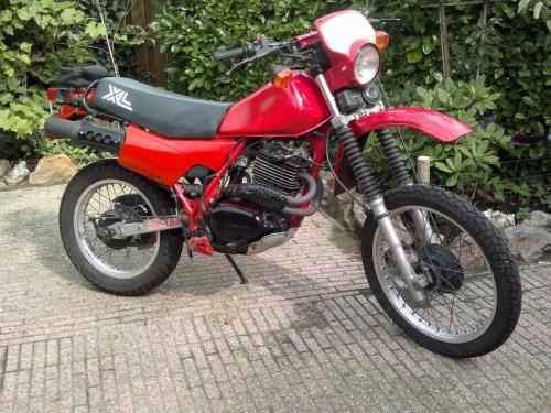 Honda XL500R